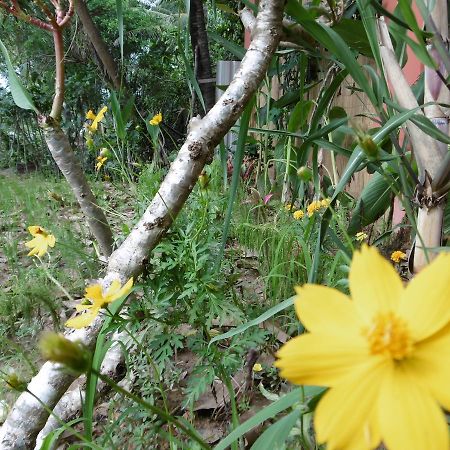 Andre Boutique Villa Siem Reap Zewnętrze zdjęcie