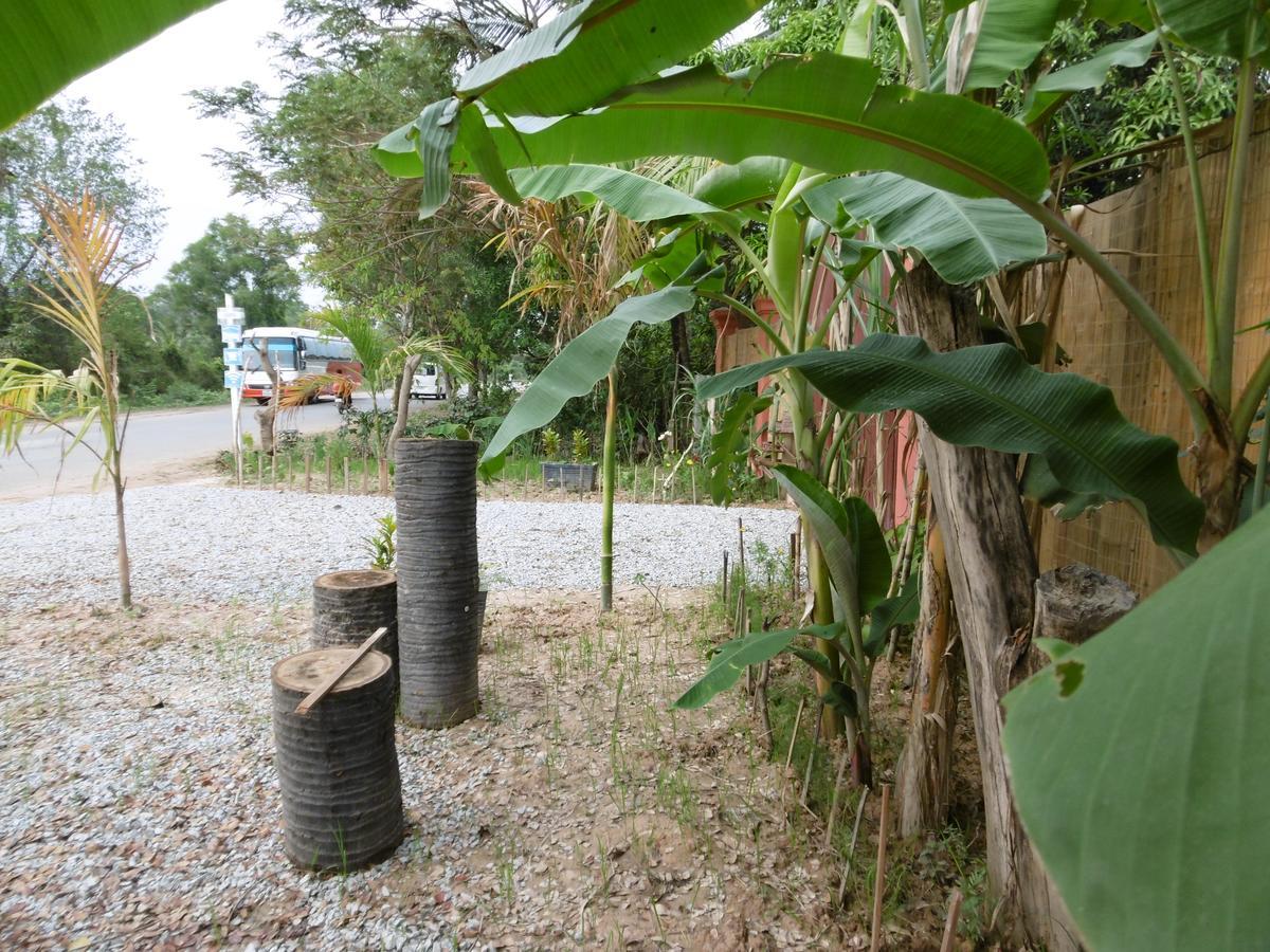 Andre Boutique Villa Siem Reap Zewnętrze zdjęcie