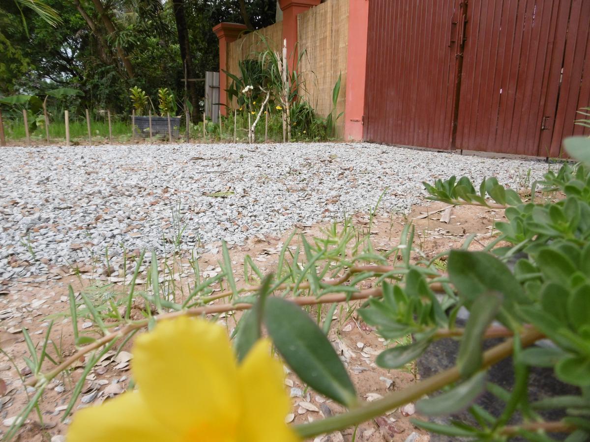 Andre Boutique Villa Siem Reap Zewnętrze zdjęcie