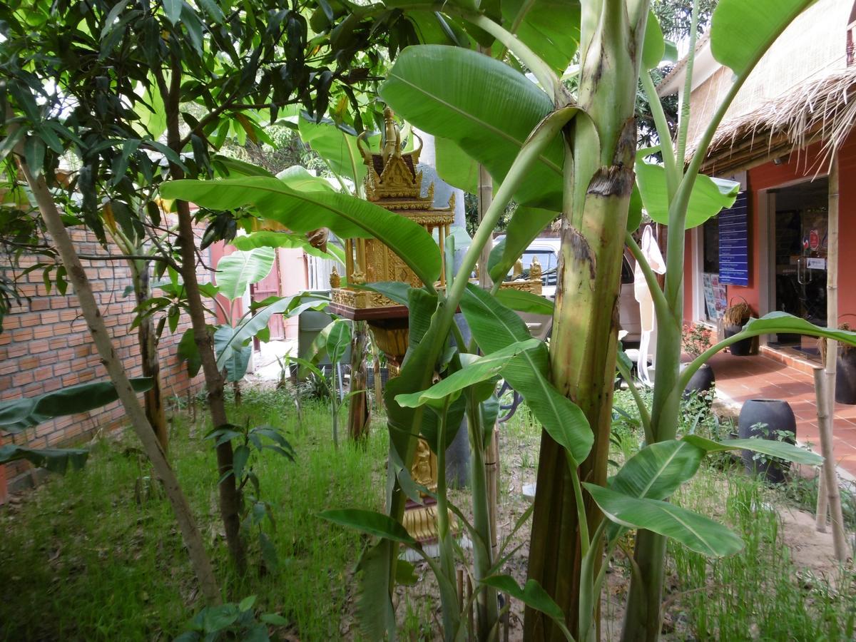 Andre Boutique Villa Siem Reap Zewnętrze zdjęcie