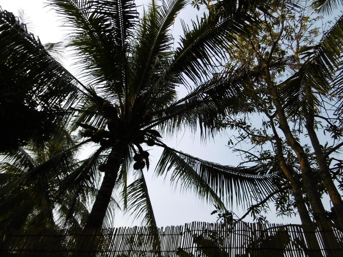Andre Boutique Villa Siem Reap Zewnętrze zdjęcie