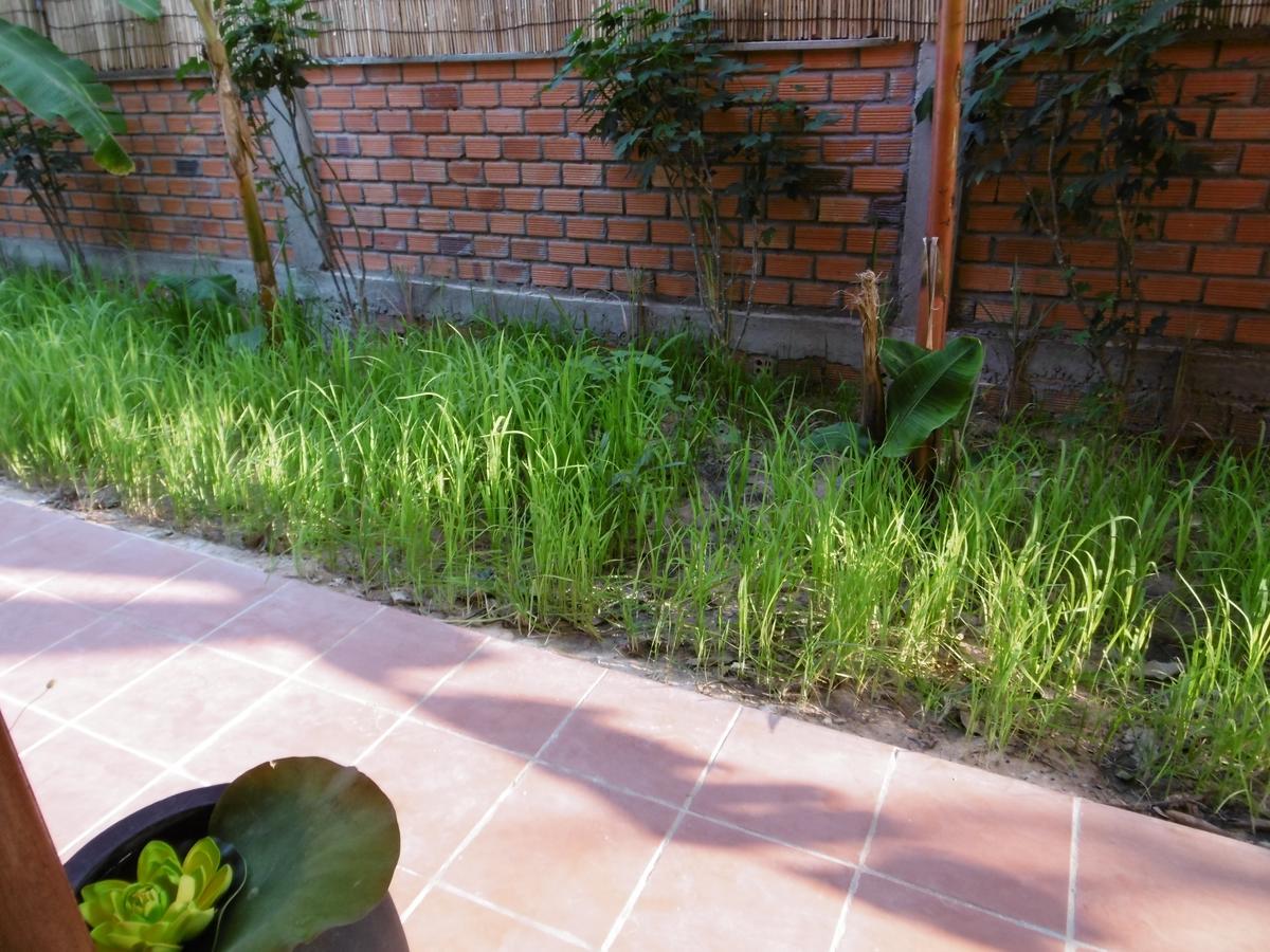 Andre Boutique Villa Siem Reap Zewnętrze zdjęcie