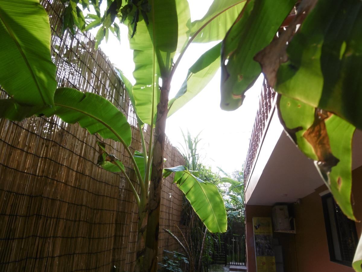 Andre Boutique Villa Siem Reap Zewnętrze zdjęcie