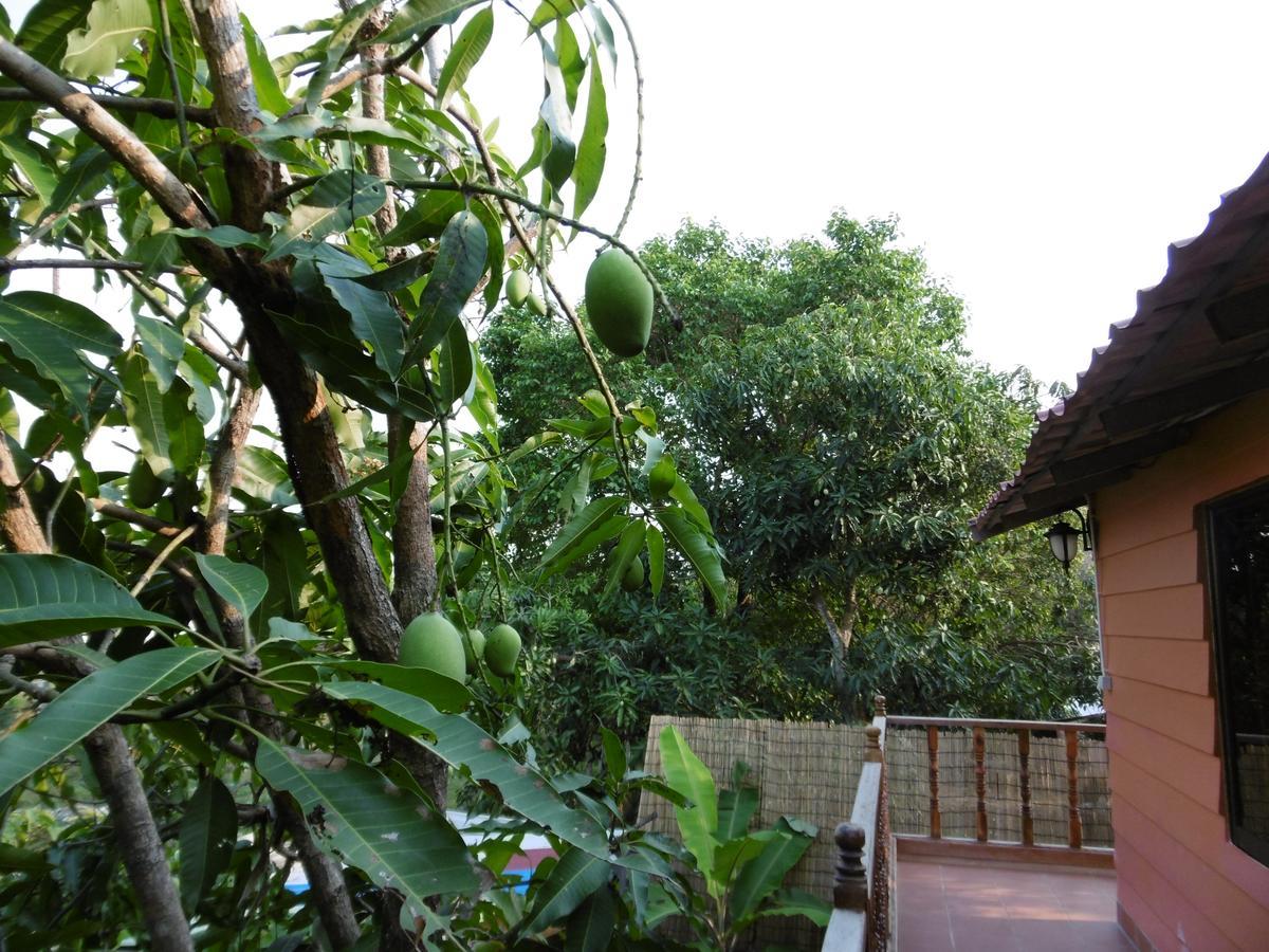 Andre Boutique Villa Siem Reap Zewnętrze zdjęcie